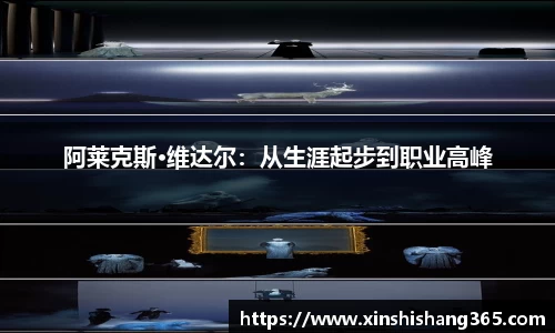 阿莱克斯·维达尔：从生涯起步到职业高峰